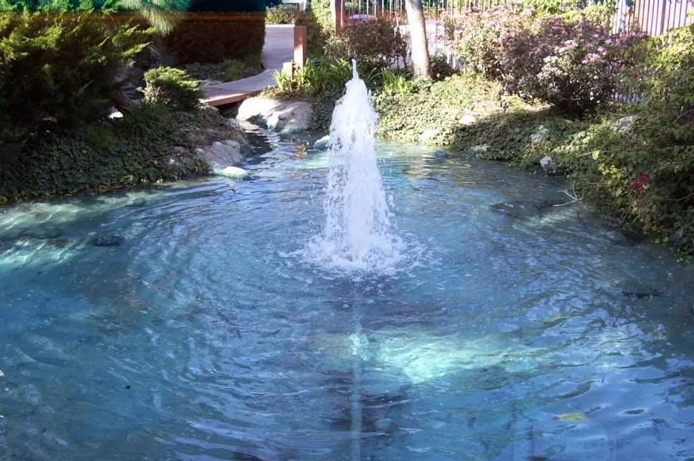 Water feature services - About Us