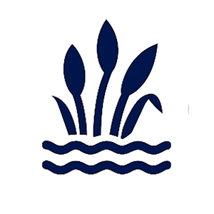 Algae Control - Los Angeles County's Trusted Lake Maintenance Specialists