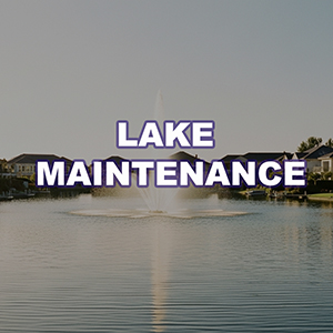 Lake Maintenance - Los Angeles County Pond Maintenance & Pond Cleaning Experts