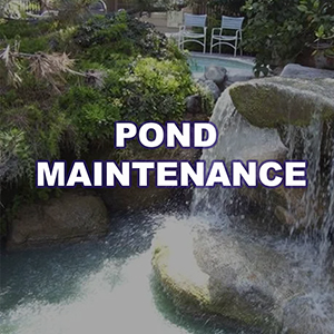 Pond Maintenance - Los Angeles County's Trusted Lake Maintenance Specialists