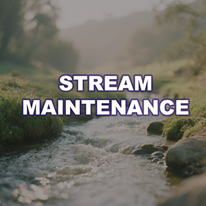 Stream Maintenance